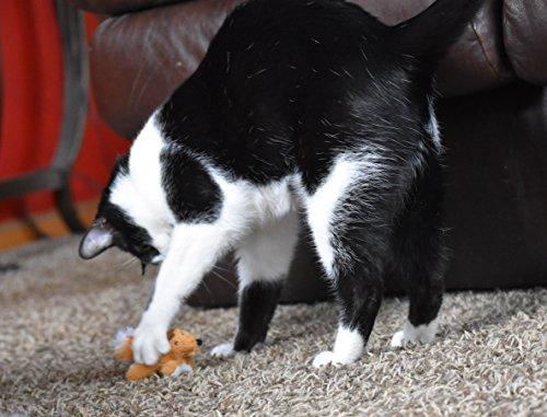 OurPets Play-N-Squeak Backyard Collection Squeaking Interactive Catnip Cat Toy