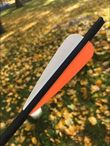REEGOX 20 inch Carbon Crossbow Bolts Bio with 4-Inch Vanes(Pack of 12) Orange - Ultra Pickleball