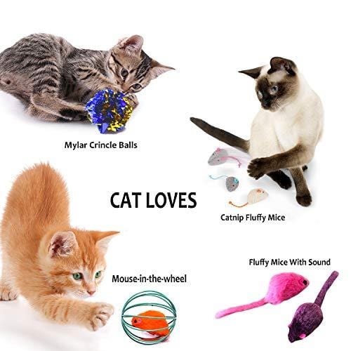 PETOY Cat Toys Set, Cat Retractable Teaser Wand, Catnip Fish, Interactive Cat Feather Toy, Mylar Crincle Balls, Two Cotton Mice, Two Fluffy Mouse