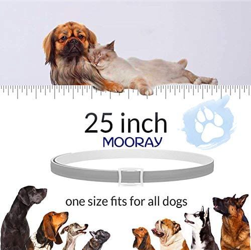 Flea and Tick Collar Prevention for Dogs & Cats Control for 8 Months with Natural Ingredients-Adjustable Waterproof Design
