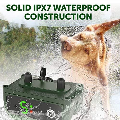 TBI Pro [Newest 2019] Rechargeable Bark Collar - Upgraded Smart Detection Module w/Triple Stop Anti Barking Modes: Beep/Vibration/Shock for Small, Medium, Large Dogs All Breeds - IPx7 Waterproof