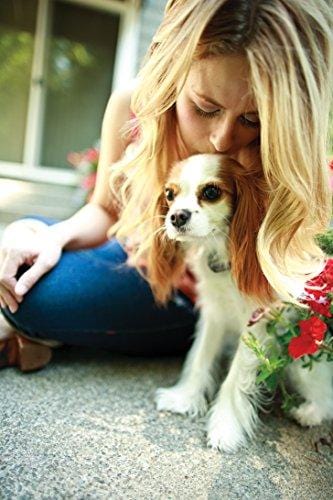 PetSafe Elite Little Dog In-Ground Fence for Dogs and Cats, Waterproof, Tone and Static Correction, for Pets Over 5 lb.