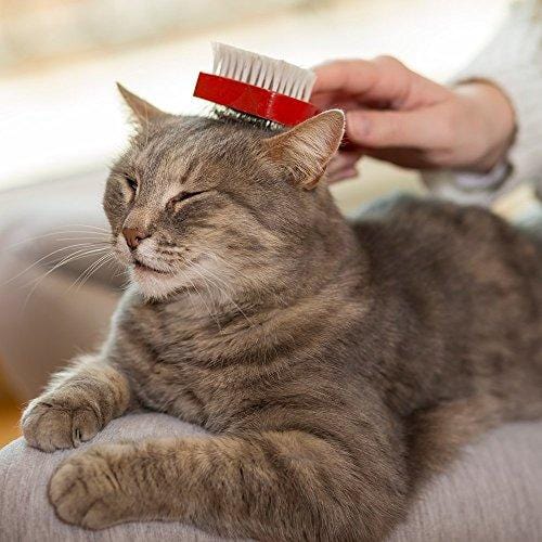Vet's Best No Rinse Waterless Dry Shampoo for Cats, Natural and Veterinarian Formulated