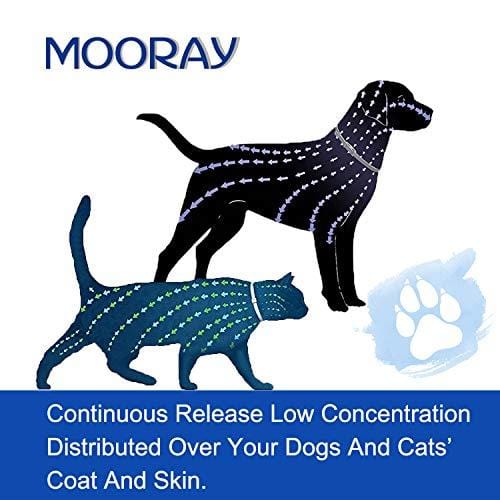 Flea and Tick Collar Prevention for Dogs & Cats Control for 8 Months with Natural Ingredients-Adjustable Waterproof Design