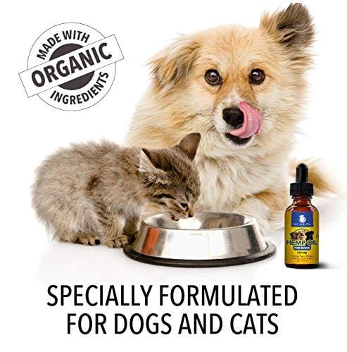 NatulabUSA - Hemp Oil For Dogs & Pets - Fast Results - Dog Anxiety & Stress Relief - Dog Arthritis & Joint Health - APPLY TO TREATS - Separation Anxiety Relief - Organic Hemp Seed Oil - 250mg - 1oz
