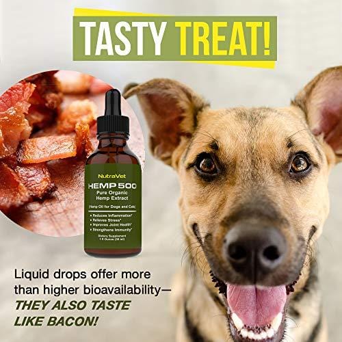 Hemp Oil for Dogs -- Cat and Dog Anxiety Relief. All Natural Dog Calming aid - for Cats too. Joint Supplement for Dogs and Cats including Omega 3 6 9 fatty acids -- Pain Relief for Dogs and Cats.
