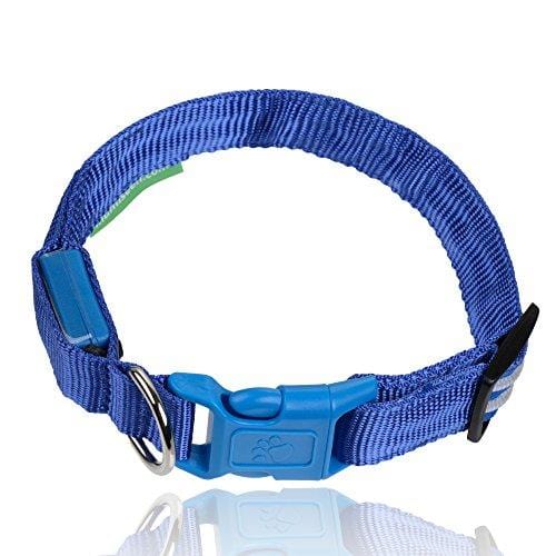 LED Dog Collar - USB Rechargeable - Available in 6 Colors & 6 Sizes - Makes Your Dog Visible, Safe & Seen