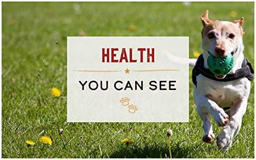 Merrick Grain Free Dry Dog Food Recipes