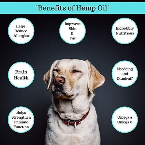 Hemp Oil for Dogs and Cats - 100 % Organic Natural Calming Drops - Anxiety Support - Hip and Joint Health - Pain Relief Stress Reducer for Pets - Omega 3 & 6