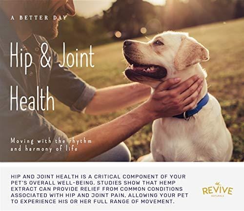 Organic Hemp Oil Extract for Dogs & Cats - 500MG - Helps Relief Joint Pain, Anxiety & Hips Pain for Dog & Cat. Pets Calming Treats. Zero THC, Full Spectrum Hemp Extract, Natural Arthritis Supplement.