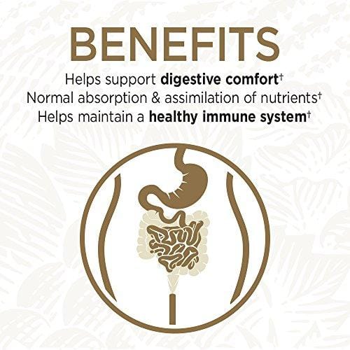 Garden of Life Whole Food Probiotic Supplement - Primal Defense Ultra Ultimate Probiotic Dietary Supplement for Digestive and Gut Health, 90 Vegetarian Capsules