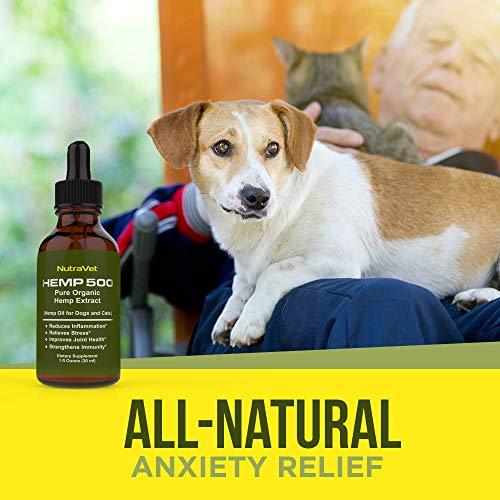 Hemp Oil for Dogs -- Cat and Dog Anxiety Relief. All Natural Dog Calming aid - for Cats too. Joint Supplement for Dogs and Cats including Omega 3 6 9 fatty acids -- Pain Relief for Dogs and Cats.