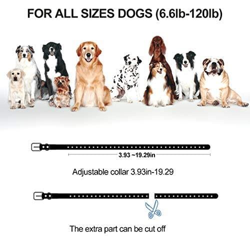 Kungber Dog Training Collar, Rechargeable Dog Shock Collar with Remote,Up to 1800Ft Range,with Beep/Vibration/Electric Shock/Light Modes,100% Waterproof Safe for Small Medium Large Dogs (Black)