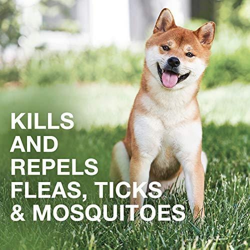 Flea and tick prevention for dogs, dog flea and tick treatment, 6 doses for dogs 4-10 lbs, K9 Advantix II