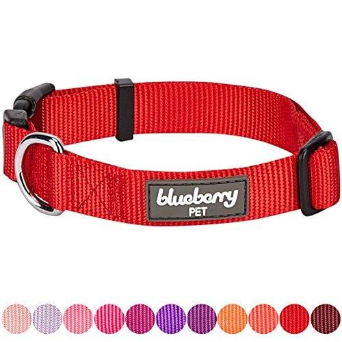 Blueberry Pet 32 Colors Classic Dog Collar, Rouge Red, Large, Neck 18"-26", Nylon Collars for Dogs