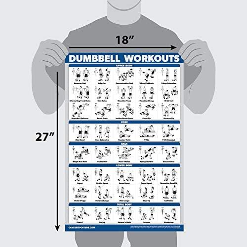 Palace Learning Dumbbell Workout Exercise Poster - Free Weight Body Building Guide | Home Gym Chart | Laminated, 18" x 27"