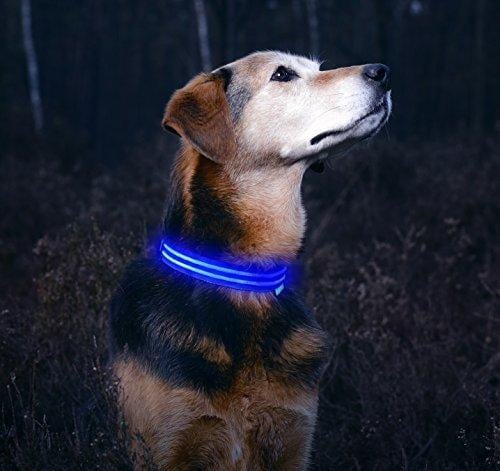 LED Dog Collar - USB Rechargeable - Available in 6 Colors & 6 Sizes - Makes Your Dog Visible, Safe & Seen