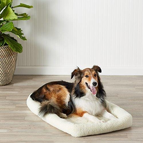 AmazonBasics Padded Pet Bolster Bed - 35 x 22 inches