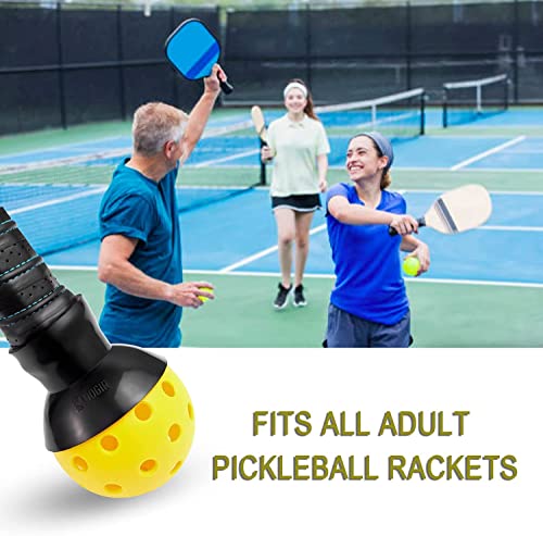 EASYPICK Pickleball Ball Retriever Picker Upper: Fits All Standard Pickleball Paddles, Easy Attaches Pickleball Paddles, The Easy Way Pick Up Pickleball Balls Without Bending Over, Black (1 Pack)
