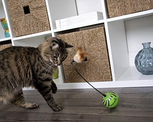 SmartyKat Feather Whirl Electronic Motion Cat Toy, As Seen On TV