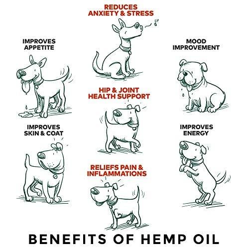 Hemp Oil for Dogs and Cats - USA Made 1500MG Organic Hemp Extract - Joint Pain Relief - Anxiety Relief for Dogs & Cats, Hip & Joint Health Support - with Vitamin A, D and Omega-3, 6