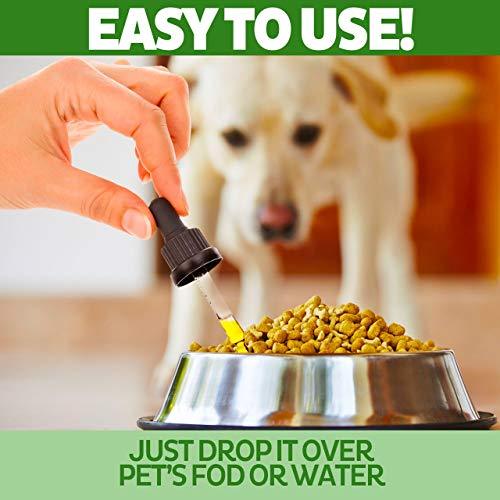 Organic Hemp Oil for Dogs & Cats - 5000mg - Pet Hemp Oil - Separation Anxiety & Stress Relief - Supports Mobility, Hip & Joint, Immune System - Calming Treats for Dogs - Made in USA