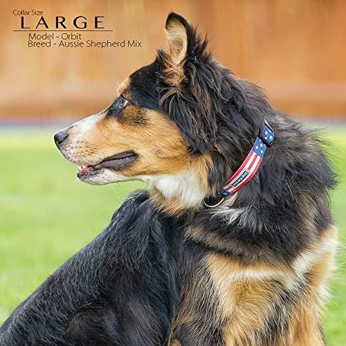 American Flag Dog Collar in 5 Different Sizes Classic (Large)