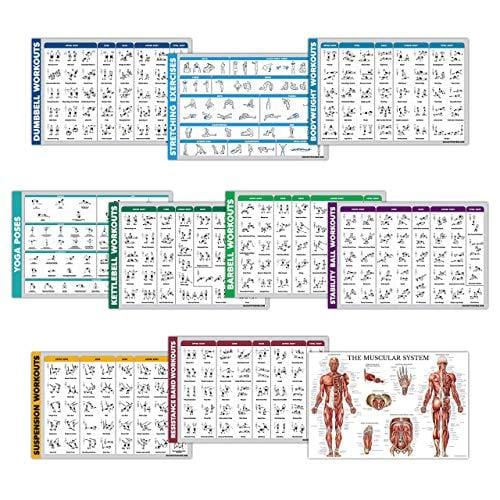 10 Pack - Exercise Workout Poster Set - Dumbbell, Suspension, Kettlebell, Resistance Bands, Stretching, Bodyweight, Barbell, Yoga Poses, Exercise Ball, Muscular System (PAPER, NON LAMINATED,18" x 27")