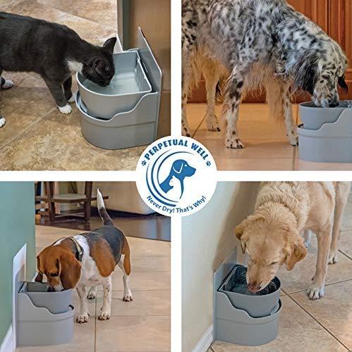 Perpetual Well Automatic Pet Water Bowl - Wall Mount