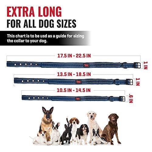 Heavy Duty Dog Collar With Handle | Ballistic Nylon Heavy Duty Collar | Padded Reflective Dog Collar With Adjustable Stainless Steel Hardware | Convenient Sizing for All Breeds