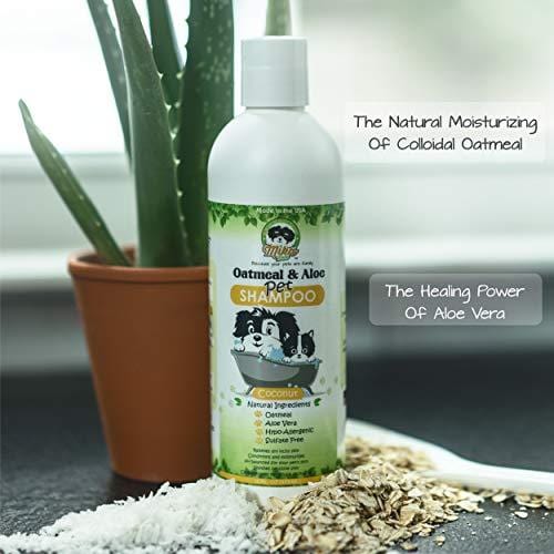 Natural Hypoallergenic Oatmeal Dog Shampoo: Itchy Dry Sensitive Skin Dandruff Wash For Large & Small Breed Adult & Puppy Dogs - Deodorizing & Moisturizing Aloe Pet Hair Grooming Formula - Cruelty Free