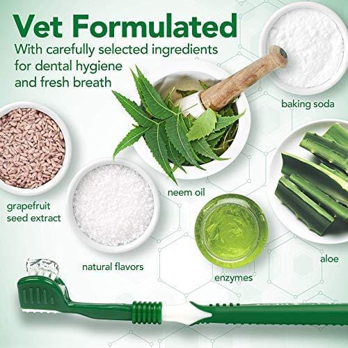 Vet's Best Dog Toothbrush and Enzymatic Toothpaste Set | Teeth Cleaning and Fresh Breath Kit with Dental Care Guide| Vet Formulated