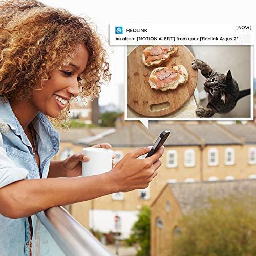 Reolink Argus 2+Solar Panel | Wireless Rechargeable Battery-Powered Security Camera for Outdoor Home Surveillance, 1080p HD 2-Way Audio Starlight Night Vision with PIR Motion Sensor SD Card Slot