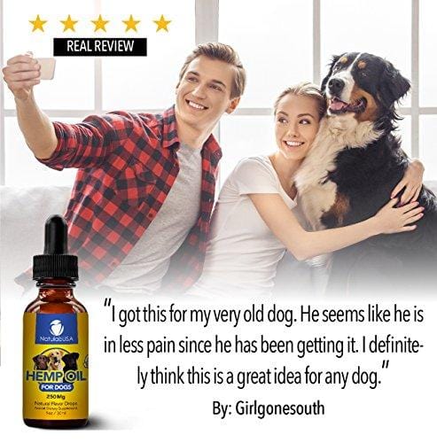 NatulabUSA - Hemp Oil For Dogs & Pets - Fast Results - Dog Anxiety & Stress Relief - Dog Arthritis & Joint Health - APPLY TO TREATS - Separation Anxiety Relief - Organic Hemp Seed Oil - 250mg - 1oz