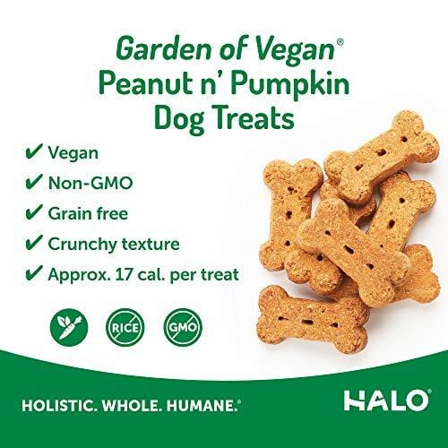Halo Vegan Grain Free Natural Crunchy Dog Treats, Garden of Vegan Peanut N' Pumpkin Recipe, 8-Ounce Bag