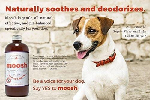 Natural Dog Shampoo. Anti-Bacterial-Anti-Fungal- Anti-Itch , Promotes Healthy Hair and Skin, Helps Hot Spots. Shea Butter, Neem and Argan Oil, Aloe Vera and Bentonite. Concentrated-Organic by Moosh ...