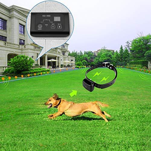 Waterproof Dog Collar Electric Fence For Dogs System For Two Dogs