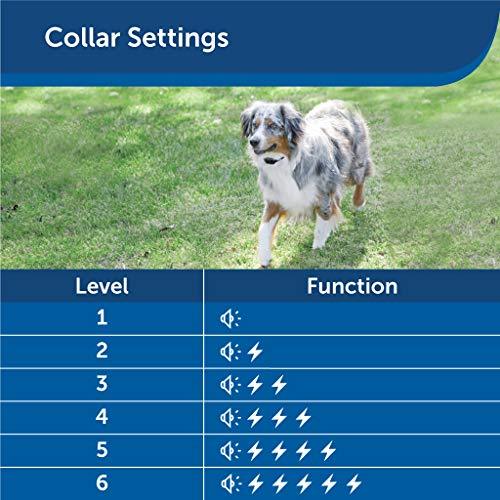 PetSafe Free to Roam Dog and Cat Wireless Fence - Above Ground Electric Pet Fence - from The Parent Company of Invisible Fence Brand