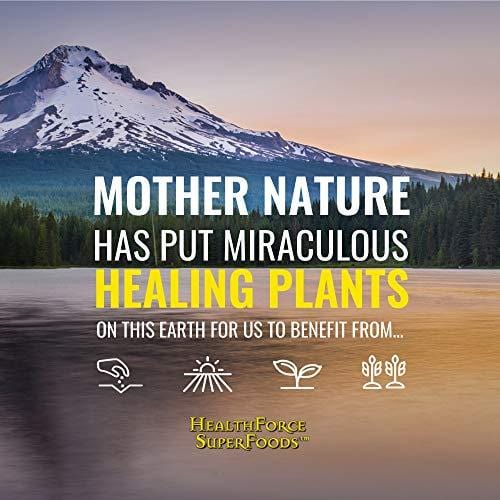 HealthForce SuperFoods Vitamineral Green Powder - 300 Grams - All Natural Green Superfood Complex with Vitamins, Minerals, Amino Acids & Protein - Vegan, Gluten Free - 30 Servings