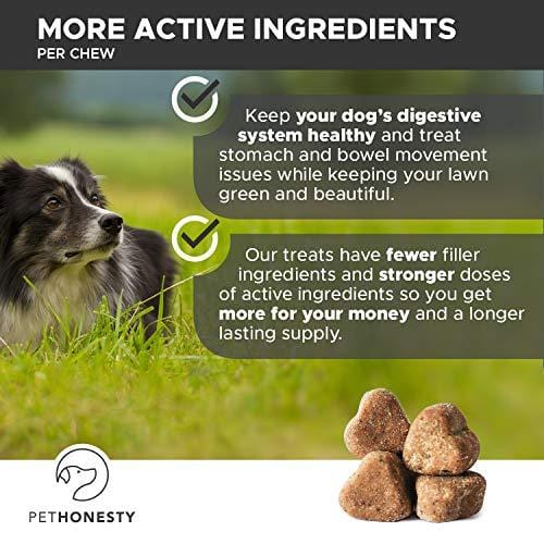 PetHonesty GrassGreen Grass Burn Spot Chews for Dogs - Dog Pee Lawn Spot Saver Treatment Caused by Dog Urine - Cranberry, Apple Cider Vinegar, DL-Methionine Grass Treatment Rocks - 90 Chew Treats