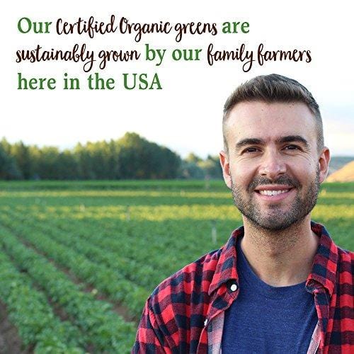 Garden of Life Raw Organic Perfect Food Green Superfood Juiced Greens Powder - Chocolate, 60 Servings - Non-GMO, Gluten Free, Vegan Whole Food Dietary Supplement, Plus Probiotics & Enzymes