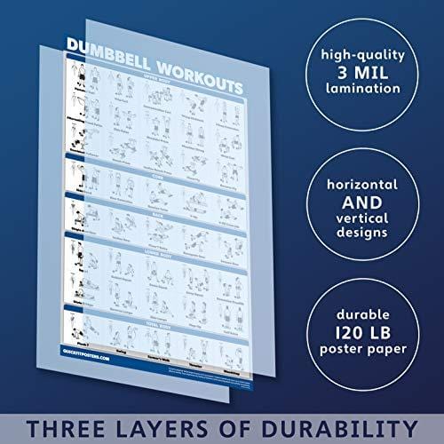 Palace Learning Dumbbell Workout Exercise Poster - Free Weight Body Building Guide | Home Gym Chart | Laminated, 18" x 27"