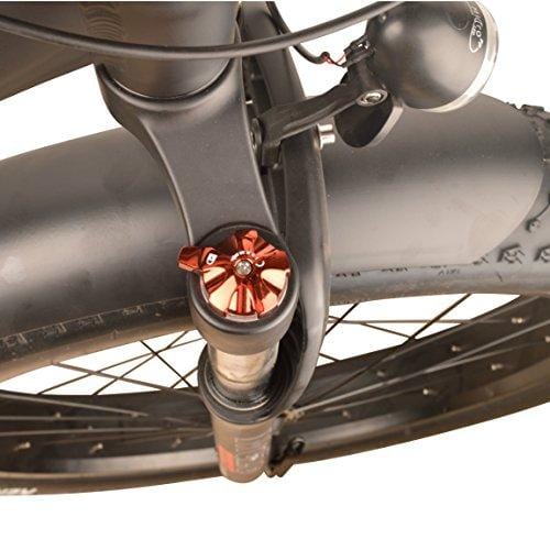 DJ Fat Bike 750W 48V 13Ah Power Electric Bicycle, UL 2849, Matte Black, LED Bike Light, Suspension Fork and Shimano Gear, - Ultra Pickleball