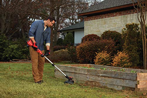 CRAFTSMAN V20 String Trimmer / Edger (CMCST910M1)