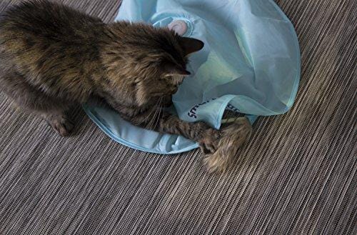 SmartyKat Hot Pursuit Cat Toy Concealed Motion Toy