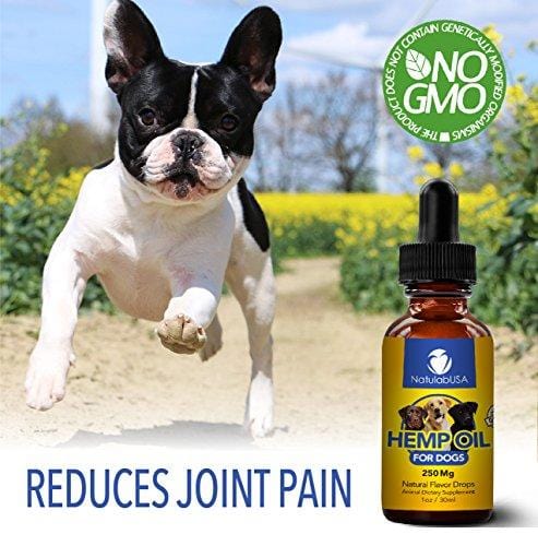 NatulabUSA - Hemp Oil For Dogs & Pets - Fast Results - Dog Anxiety & Stress Relief - Dog Arthritis & Joint Health - APPLY TO TREATS - Separation Anxiety Relief - Organic Hemp Seed Oil - 250mg - 1oz