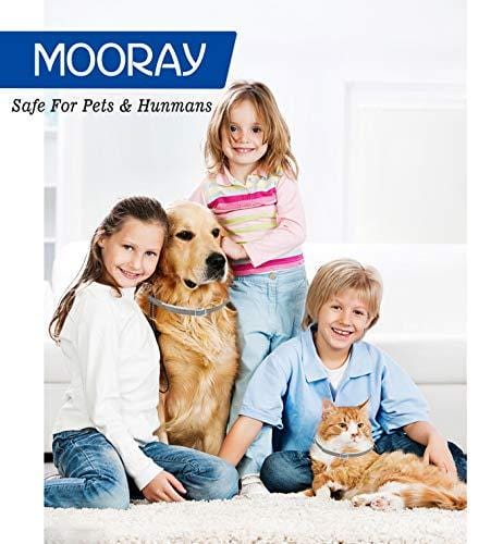 Flea and Tick Collar Prevention for Dogs & Cats Control for 8 Months with Natural Ingredients-Adjustable Waterproof Design