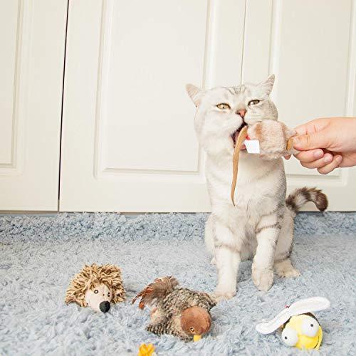 Gigwi Chirpy Cat Mouse Toy Squeak- Cat Toys Interactive Squeaking Mouse Cat Toy Melody Chaser Play N Squeak Kitten Toy, Mouse Sound Cat Toy for Boredom - Ultra Pickleball