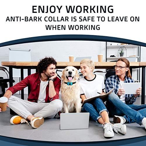 PawPets Anti Bark Collar | No Bark Collar | Bark Collar for Small Dogs 5-15lbs