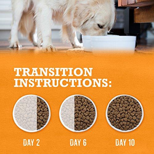 Purina Beyond Grain Free White Meat Chicken & Egg Recipe Adult Dry Dog Food - 23 lb. Bag